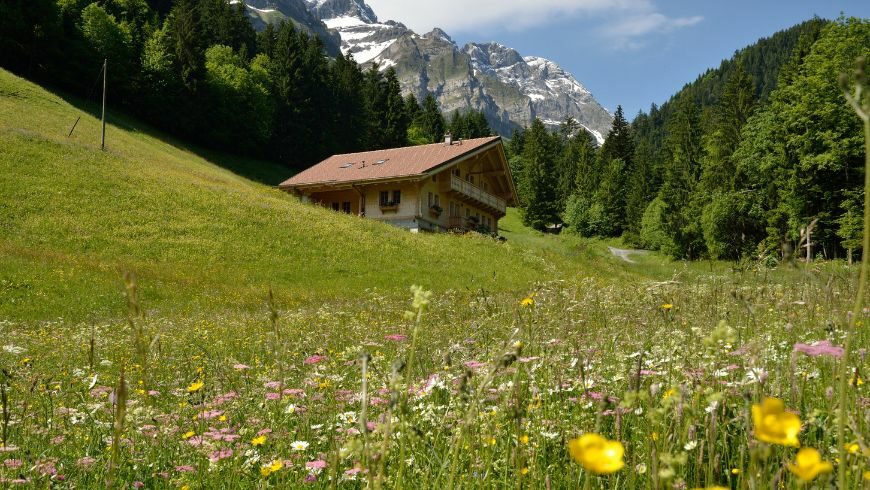 Conservating biodiversity, eco-chalet in Switzerland. 