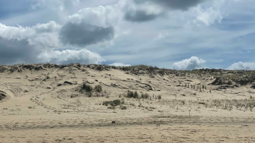 Sand Dune