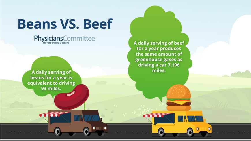 infograph on beef and beans