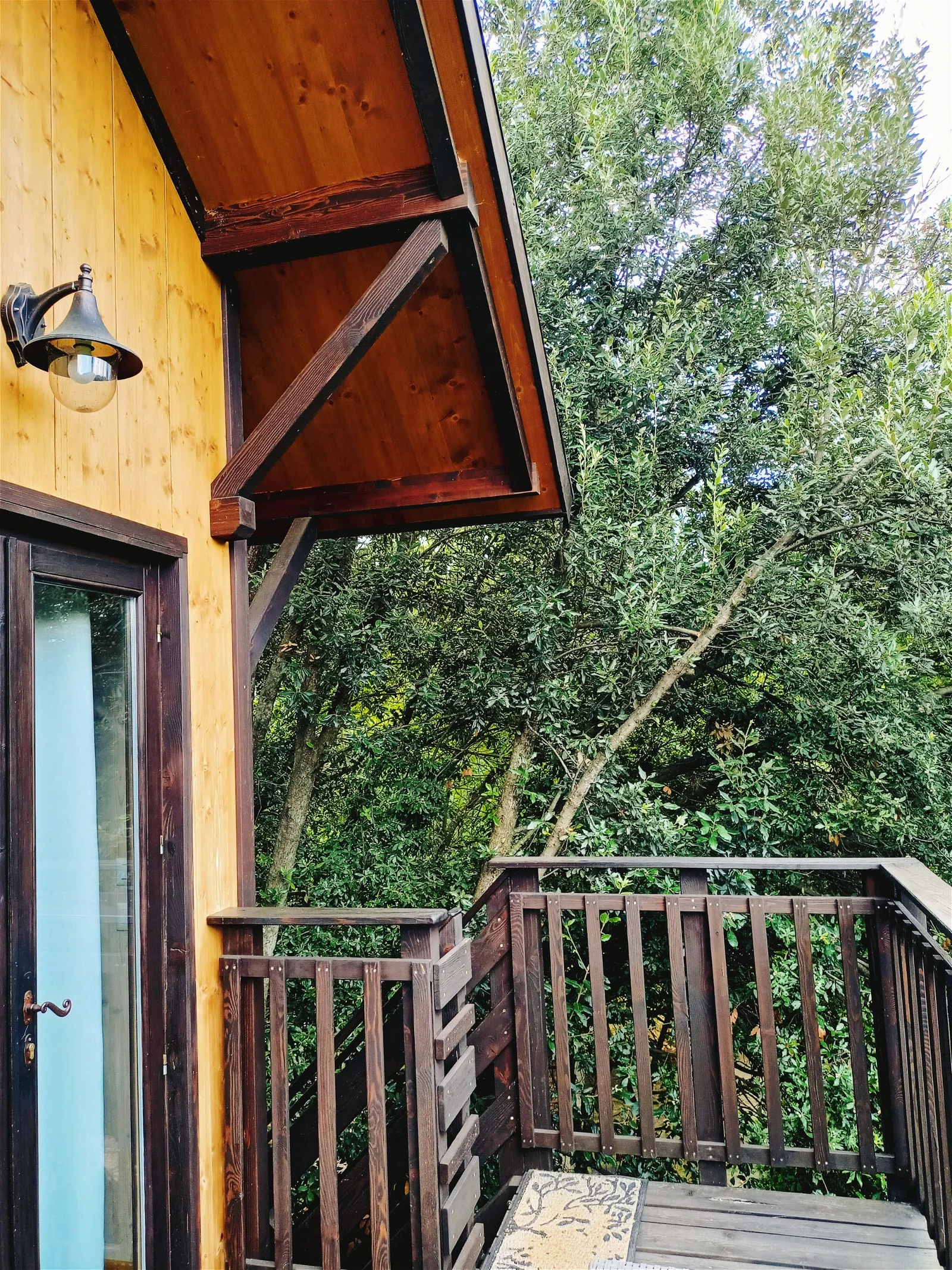 A Train Journey for a Weekend in a Treehouse