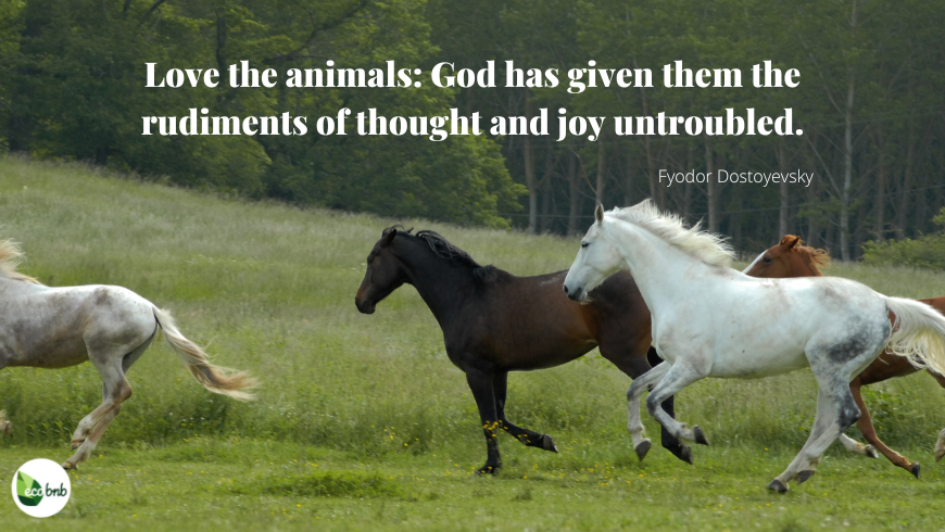 Love the animals - Fyodor Dostoyevsky Quote