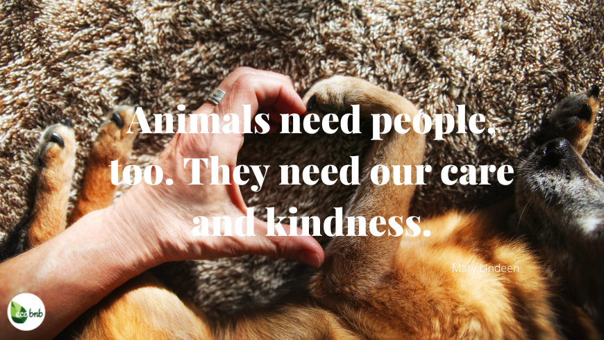 Animals need people, quotes of Lindeen