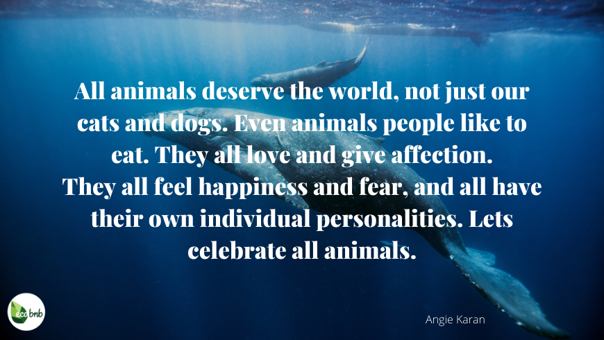 Angie Karan, quote animals