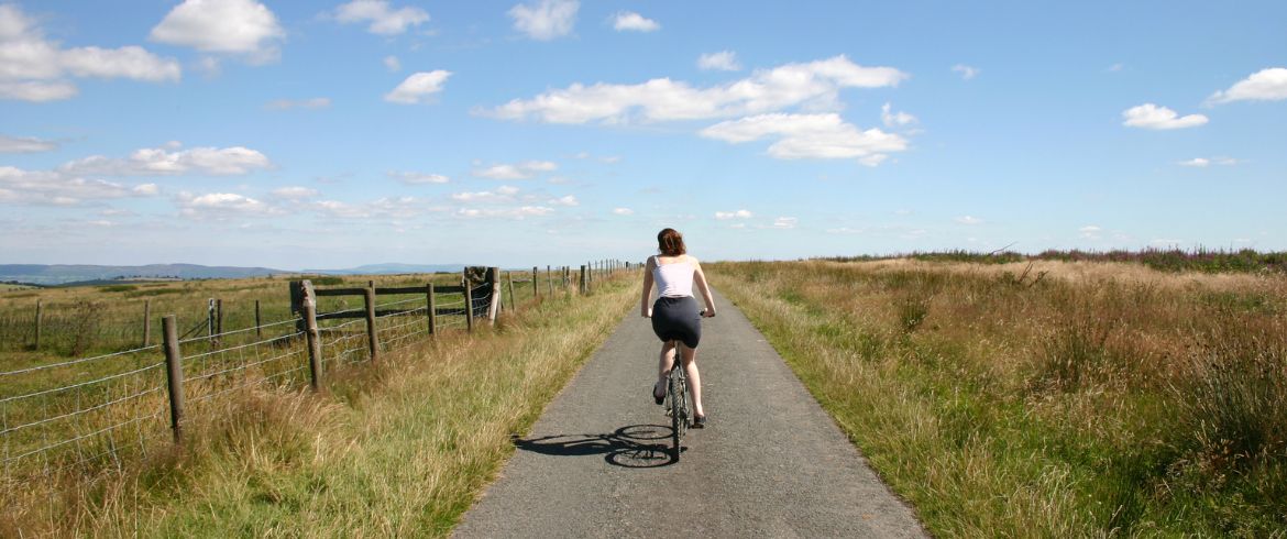 Sustainability intelligence overview