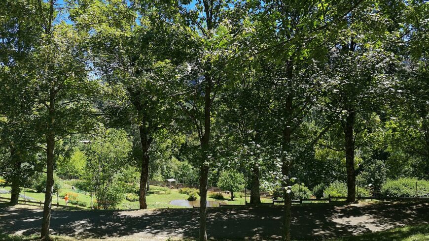 Unveiling Orecchiella Park: A Hidden Gem in Tuscany