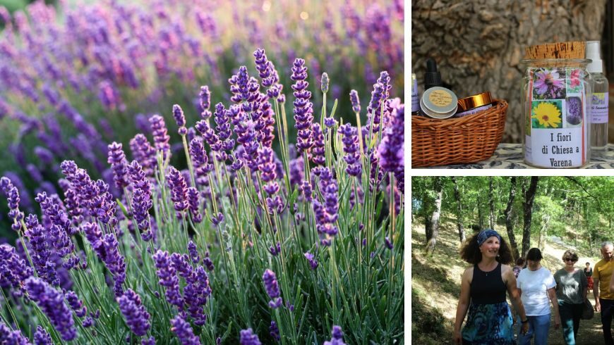 Lavanda workshop at the Agriturismo Chiesa a Varena, near Florence