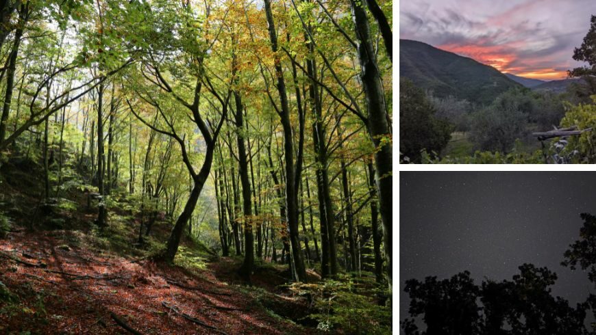 Casentino Forests and nature near the agriturismo Chiesa a Verena, Tuscany