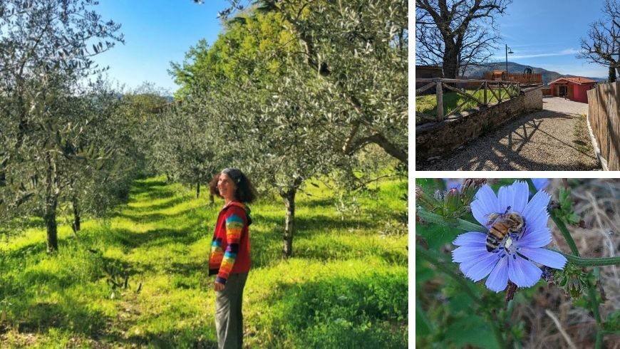 Anna and the organic farmhouse Agriturismo Chiesa a Varena