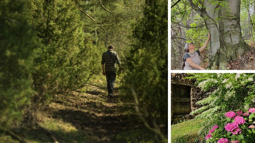 Walking Meditation in Piedmont