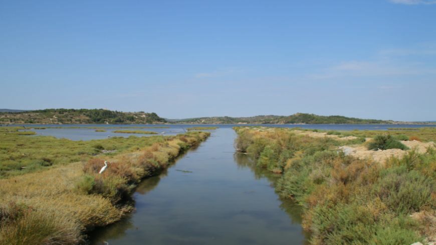 Étang de Bages-Sigean, Narbonne