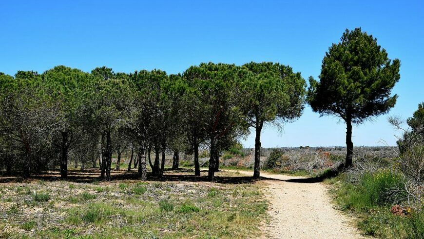 Parc Naturel Régional de la Narbonnaise 