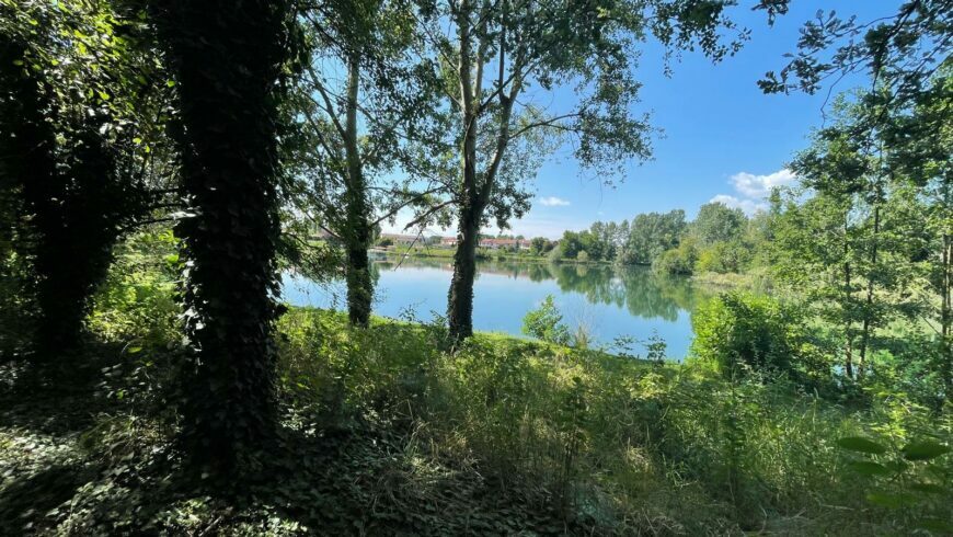 Parco dei Tre Laghi di Gravellona Lomellina 