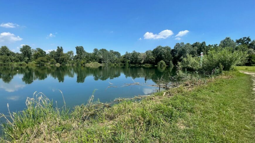 Parco dei Tre Laghi di Gravellona Lomellina 