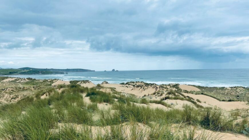 Walking Among Sand Dunes: The Valdearenas Route