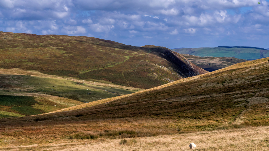 Cambrian Mountains