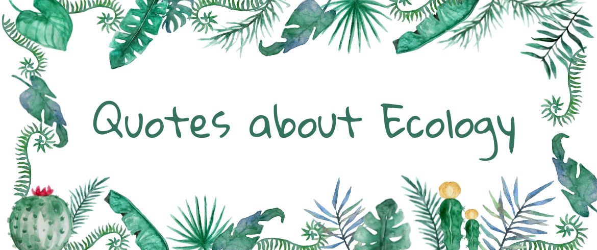 Best Inspirational Quotes on Environment and Ecology - Ecobnb