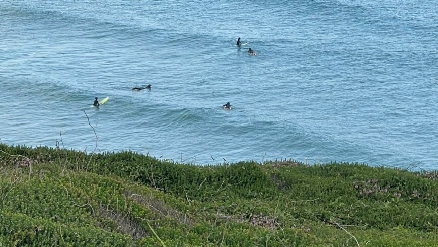 waves and surfers