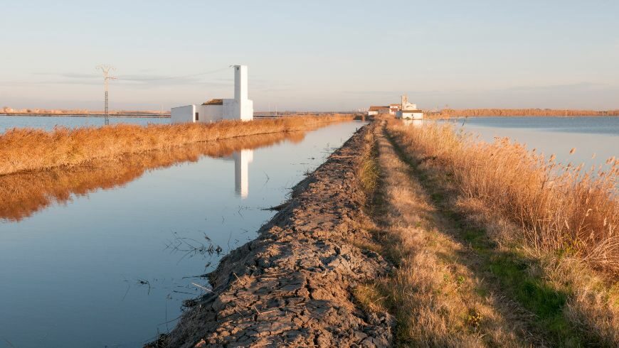 Albufera Natural Park in Valencia