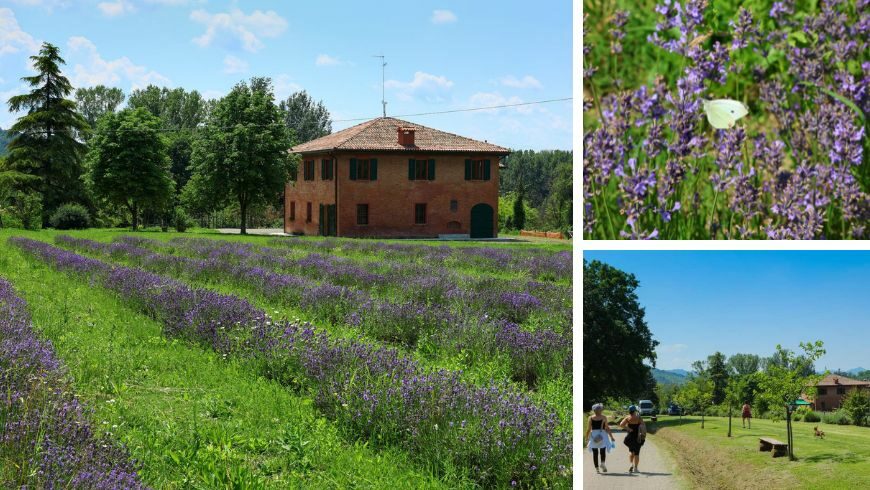 Nature and Solidarity: A Special Farm Stay Near Bologna