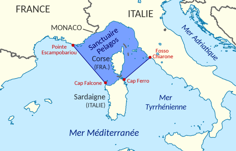 Pelagos Sanctuary for the Protection of Mediterranean Marine Mammals