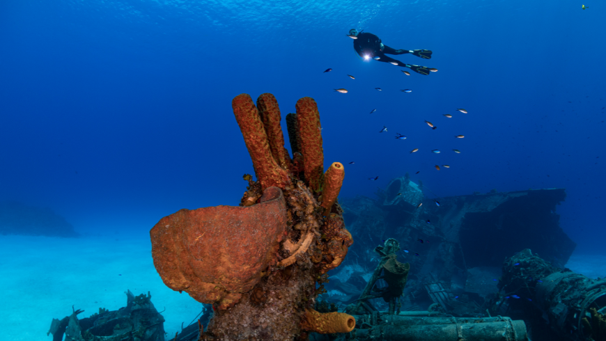 Dving around MV Zenobia wreck