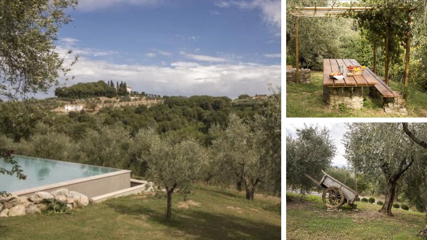 la romagnana, organic farmhouse surrounded by olives