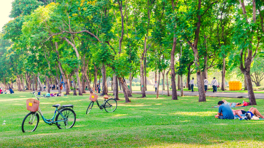 free activity: visit a local park