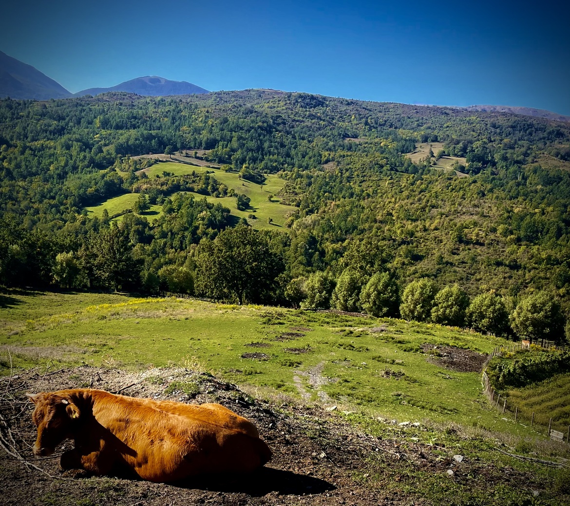 Agriturismo Crescente, near San Severino Lucano