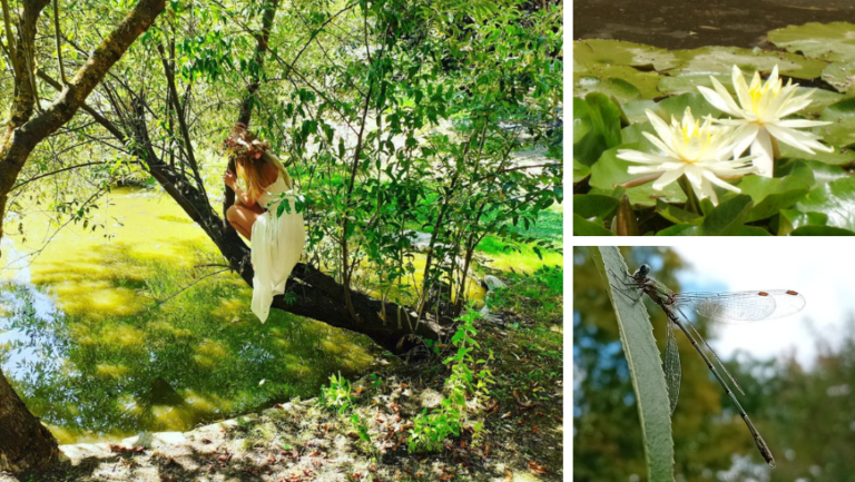 Awen treehouse, nature and garden