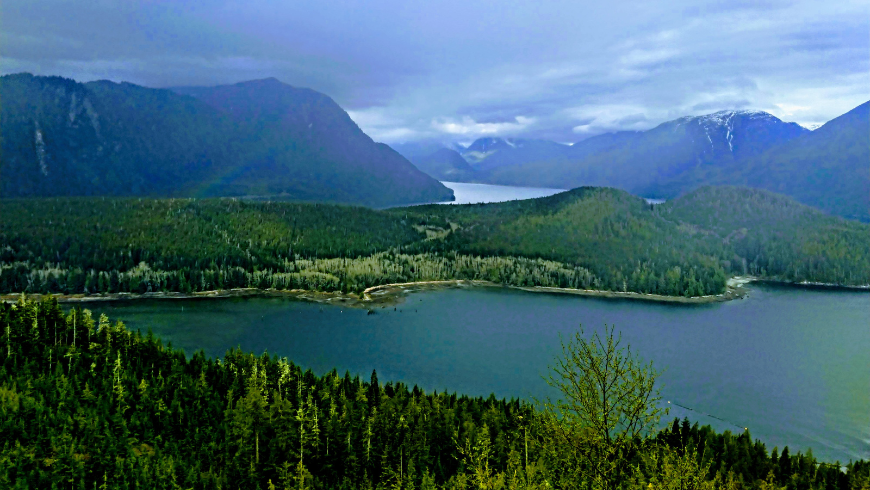 Great Bear Rainforest, Canada