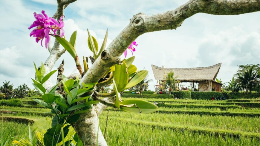 eco-friendly accommodation in Indonesia