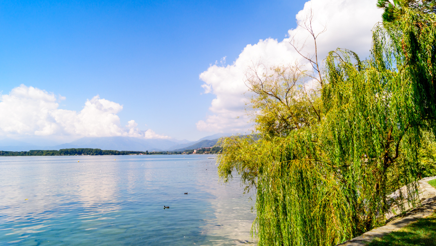 Walking around Lake Viverone