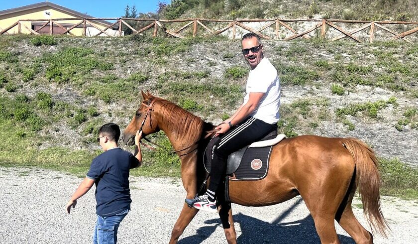 Horses around the Agriturismo