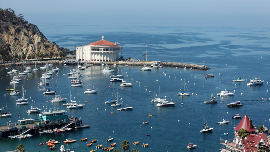 Catalina Island 