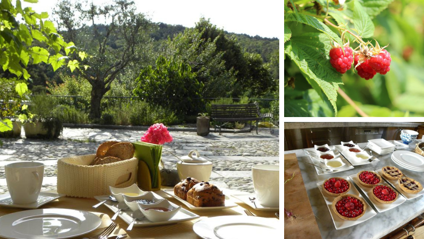 organic breakfast at Cascina Rodiani