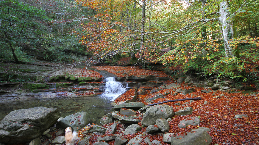 Casentino Forests, Italy