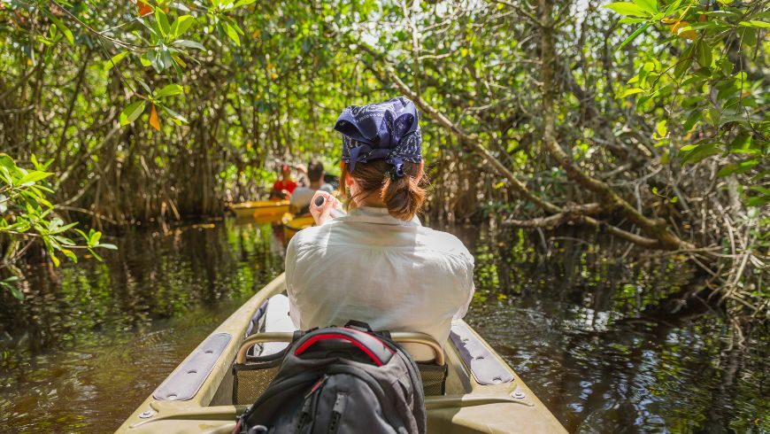 Paddling in the Everglades