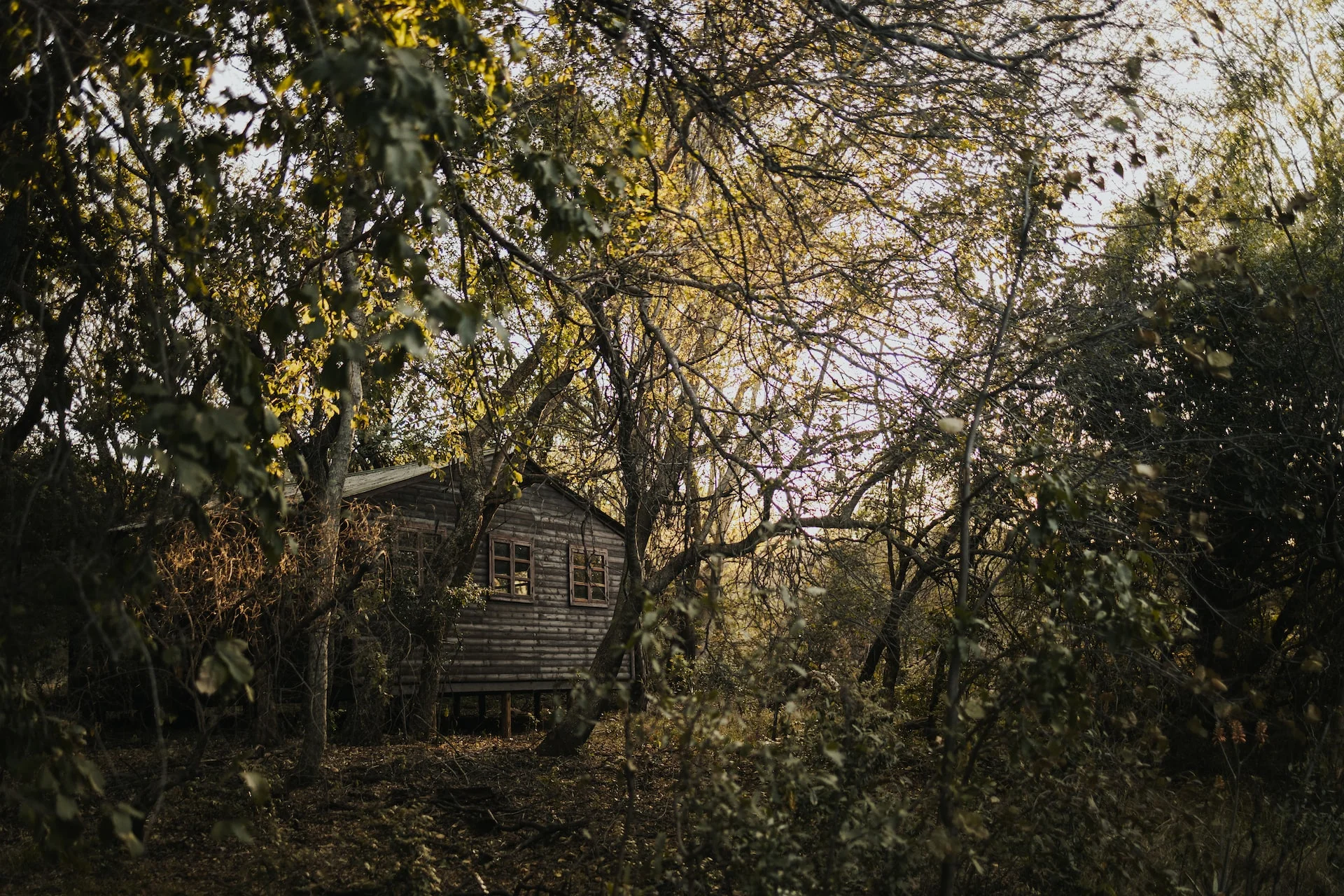 Sleep in a tree-house in Spain