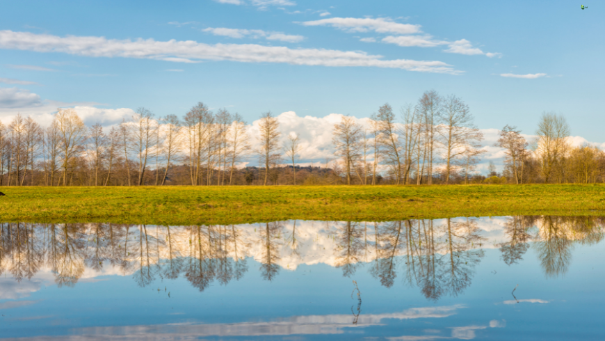 Ljubljansko Barje: A Journey Through Wild Nature and Ancient History