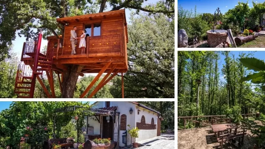 A particular house on a tree 