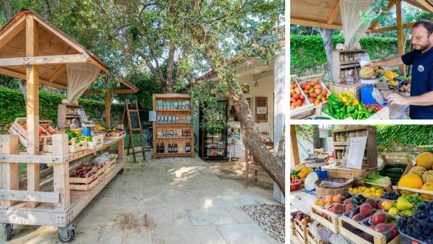 organic farm shop at salos, salento