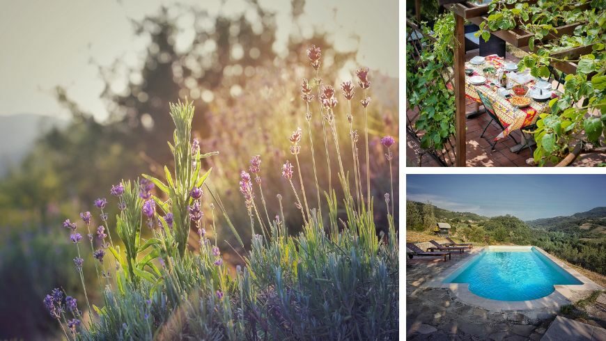 Nature and a swimming pool 