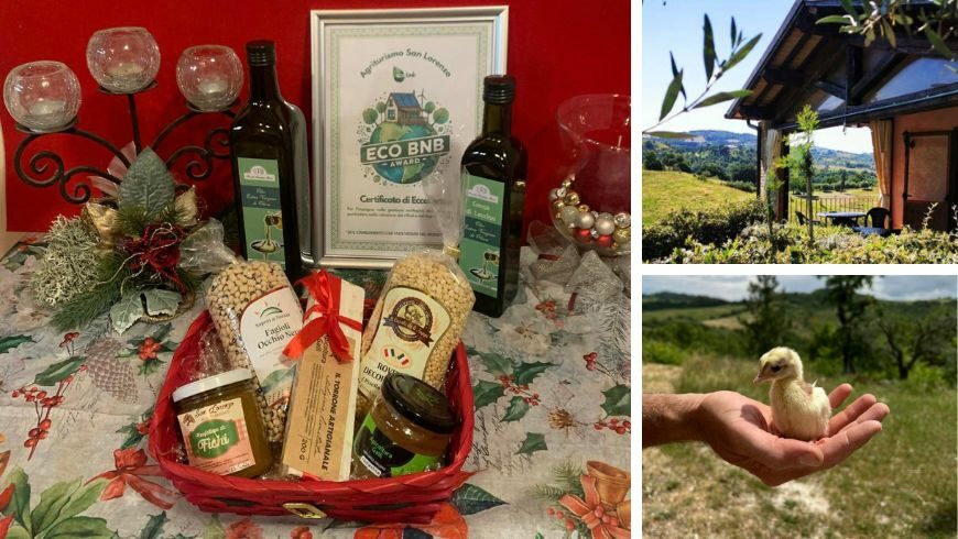 Biologic and eco-sustainable local products