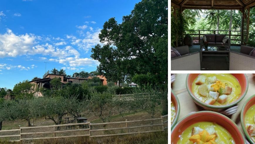 Nature that surrounds the farmhouse