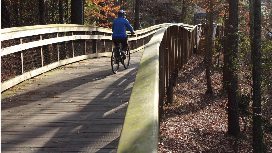 wood bridge crossing a forest