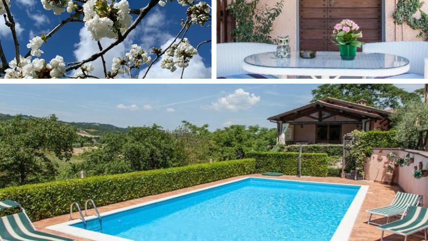 Swimmingpool in the terrace of the farmhouse