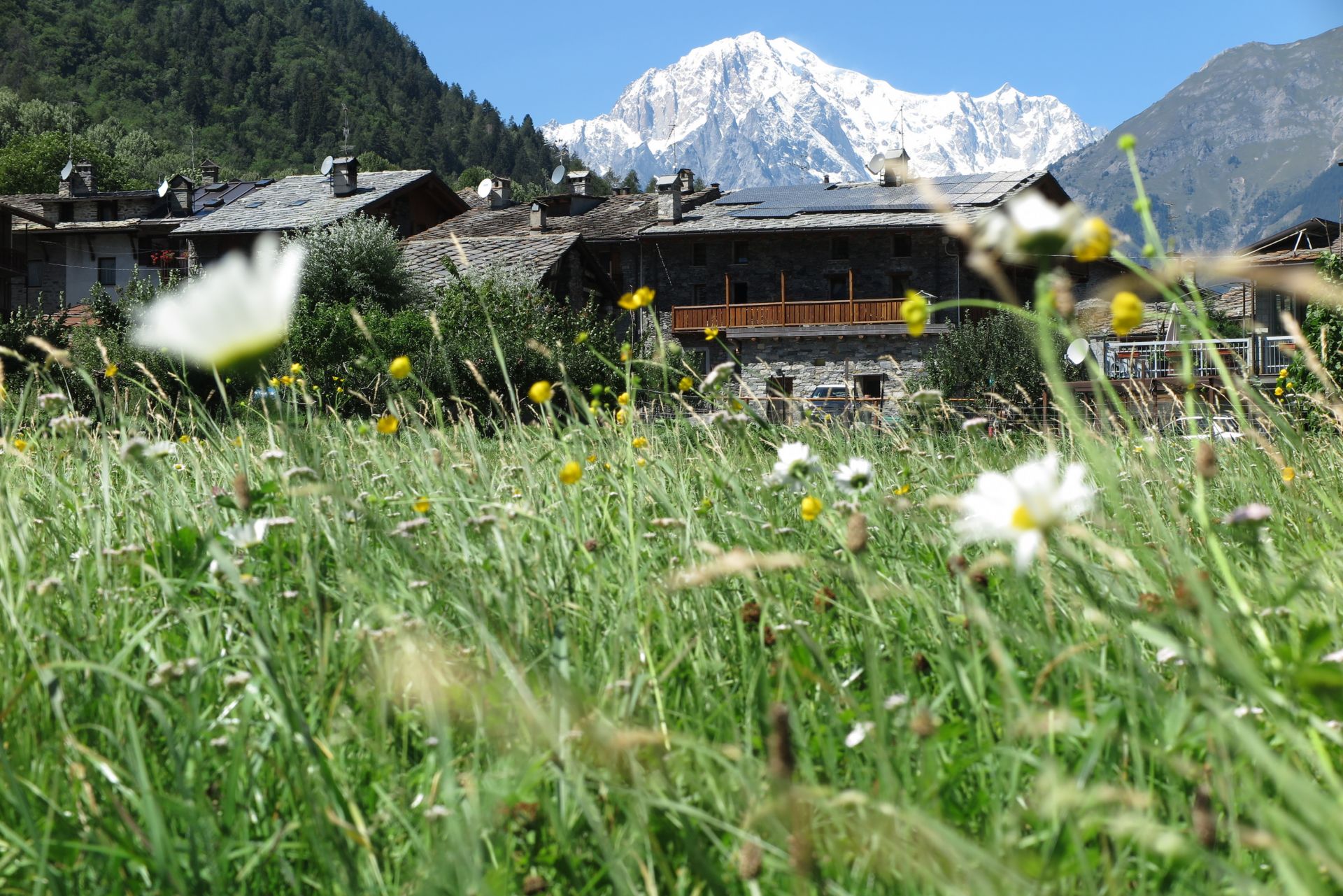 Petit Coeur, green accommodation in La Salle, Aosta Valley