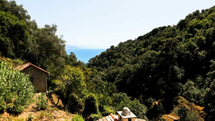 A Different World Just 10 Minutes from the Coast: The Hermitage of Sant'Antonio di Niasca, in the Portofino Park