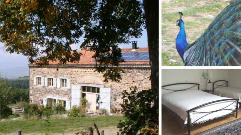 farm where to stay during the journey