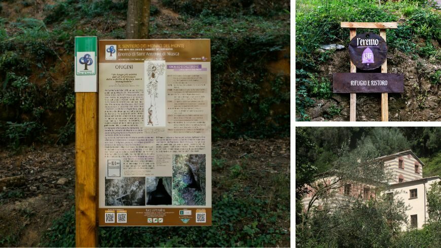 The Hermitage of Sant'Antonio di Niasca and its origins